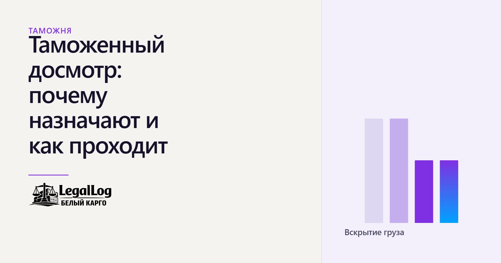 Таможенный досмотр: правила, порядок, причины